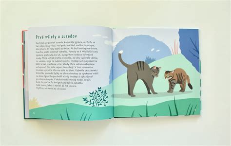 Ilustrácia jedál z knihy Donny Hay