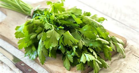 Čerstvá petržlenová vňať