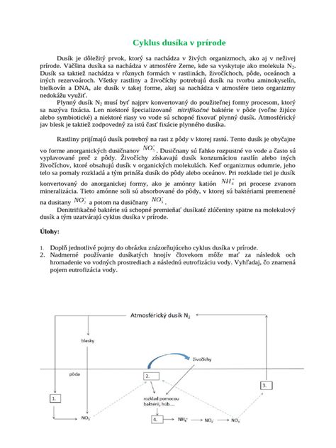 Cyklus dusíka v prírode