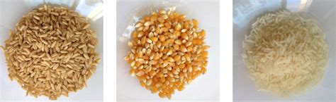 Surové zrná rôznych obilnín