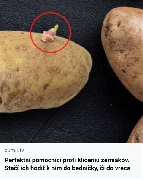 tabuľka s rôznymi spôsobmi prípravy zemiakov a ich charakteristikami