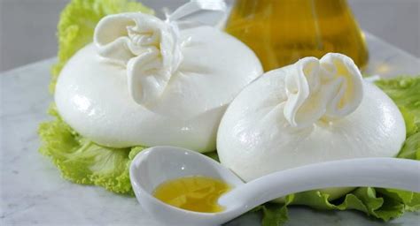 Burrata syr