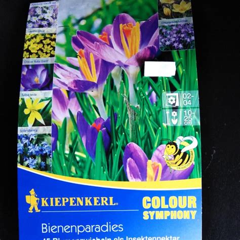 Farebná fotografia rôznych druhov cibule