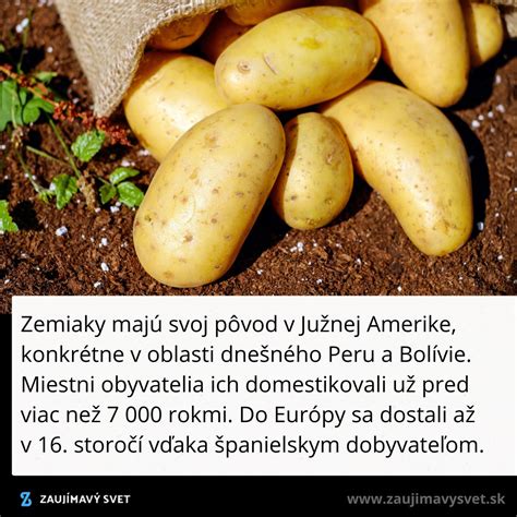 Ilustračné foto čerstvých zemiakov a cibule