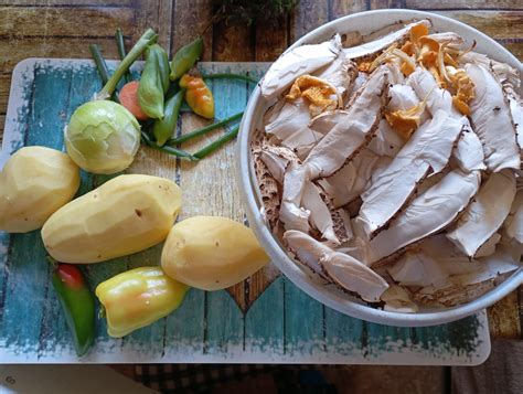 Rôzne úpravy bedlí