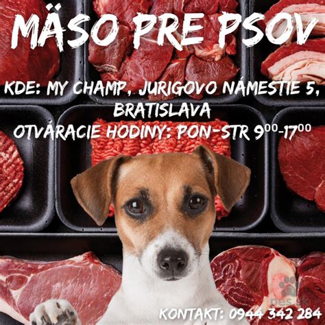 Mleté mäso pre psov