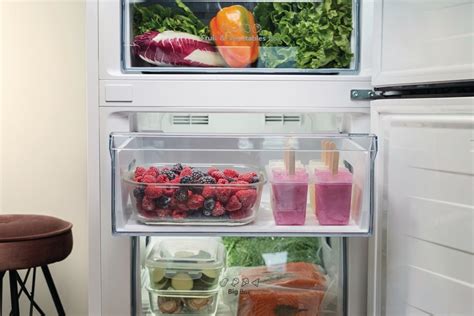 Proces mrazenia ríbezlí