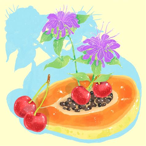 Ilustrácia hrozienok namáčaných v rume