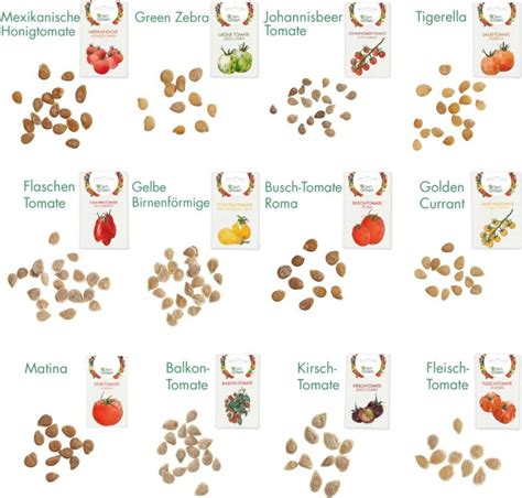 Ilustrácia rôznych druhov fazuľových semien