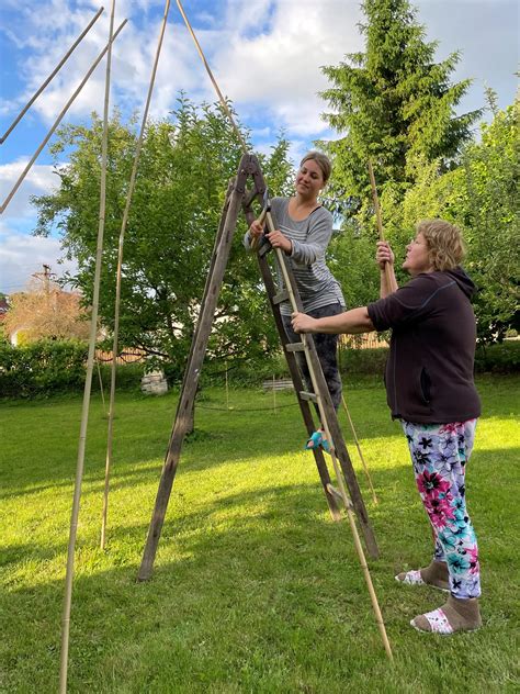 Podpory pre popínavú fazuľu