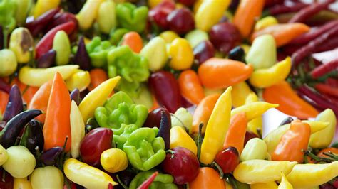 Ilustračná fotografia rôznych druhov chilli papričiek