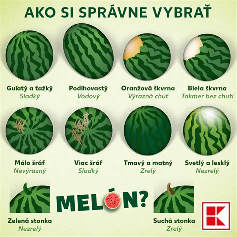 Ilustrácia ako vybrať zrelý melón