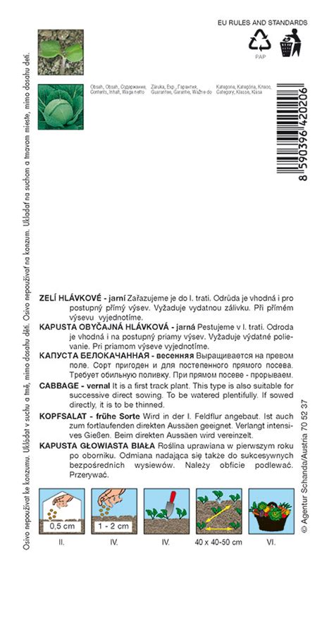 Ilustrácia hlávky kapusty Sláva F1