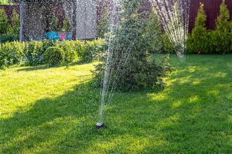 Zavlažovanie kapustového záhonu