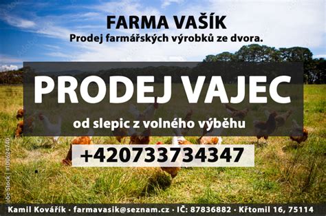 Ilustračné foto farmy a vajec