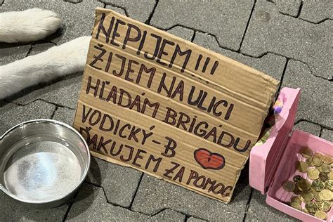 Muž s rozvrhom a psom