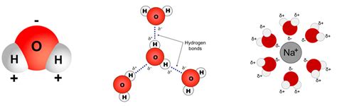 Štruktúra molekuly metamfetamínu v porovnaní s amfetamínom