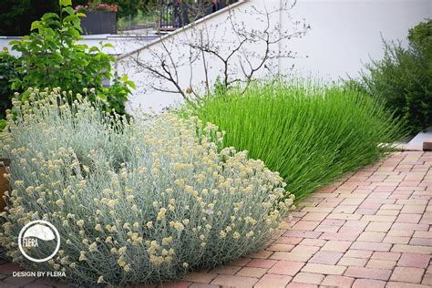 Kvitnúca záhrada s jedlými kvetmi