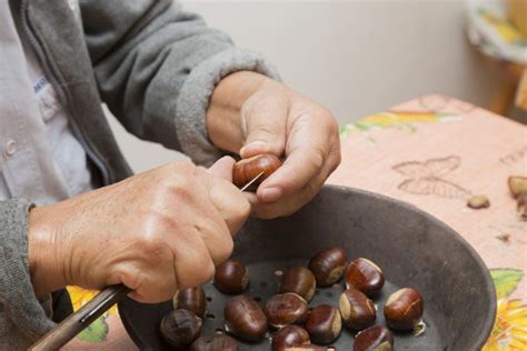 Rôzne druhy jedlých gaštanov