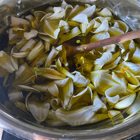 jedlé cibuľky ľalie