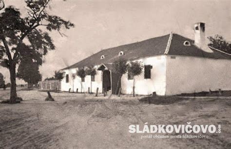 Ilustračná fotka sliviek