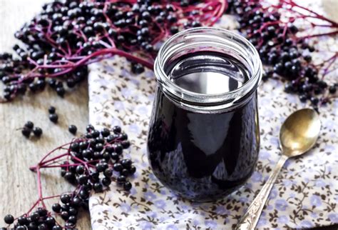 Ilustrácia rôznych produktov z bazy čiernej: sirup, džem, čaj