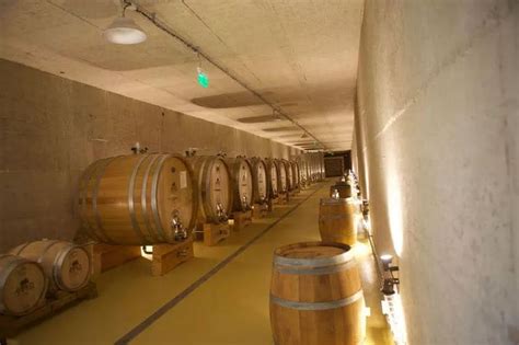 Zrenie parmezánu v pivnici