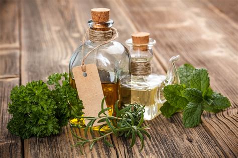 Ilustrácia rôznych byliniek a korenín na dochutenie syra