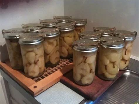 Pripravene pohare zavarenych hrusiek v pivnici