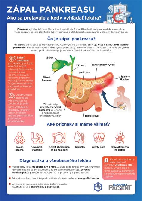 Infografika o funkciách pankreasu