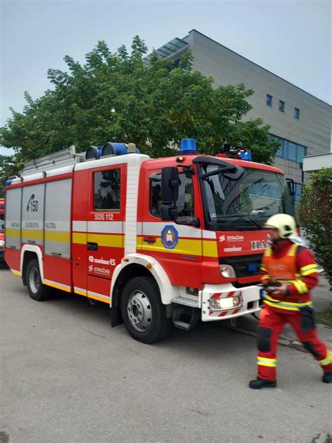 Ilustračné foto cuketových kvetov