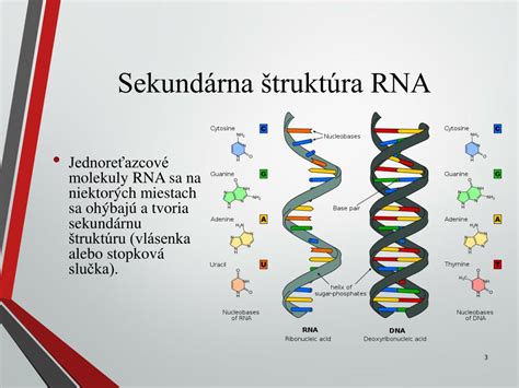 Vizualizácia štruktúry chovu nosníc