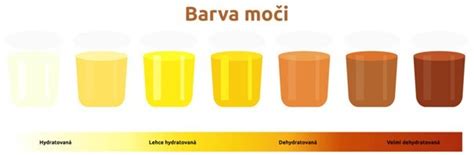 Graf porovnania farby moču a hydratácie