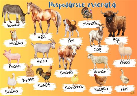 Rôzne druhy krmív pre hospodárske zvieratá