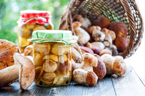 Rôzne druhy korenia na nakladanie húb