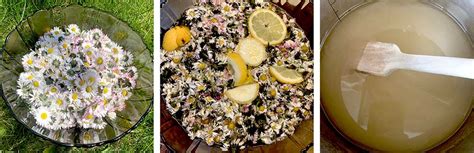 Postup prípravy lineckých rezov