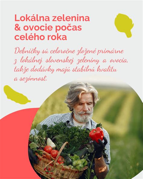 Ilustrácia sezónneho ovocia počas roka
