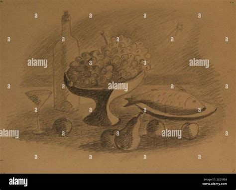 Ilustrácia jedla Ceviche s rybou a limetkou