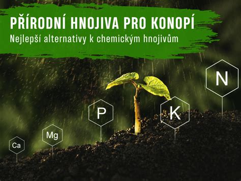 Ilustrácia prípravy ryžového hnojiva