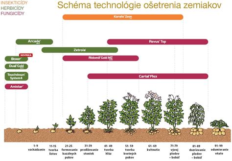 Schéma ručného sadzača zemiakov