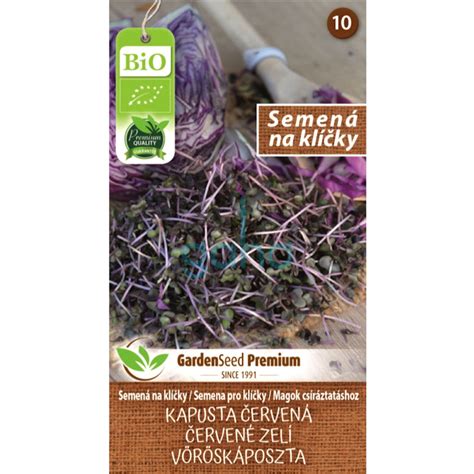 kukuričné klíčky