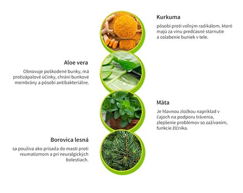 Zloženie liečivých bylín na reumu
