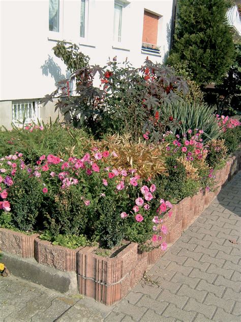 Výsadba rôznych druhov rastlín v záhrade