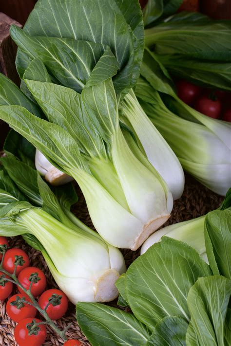 Čínska kapusta (Pak Choi)