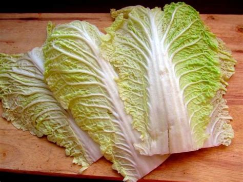 Porovnanie čínskej a pekinskej kapusty