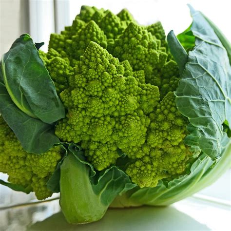Romanesco v reze