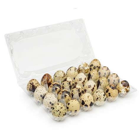 Ilustrácia prepeličích vajec s ich typickou škvrnitou škrupinou.