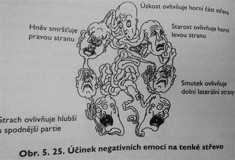 Ilustrácia zobrazenia rôznych emócií pomocou porekadiel