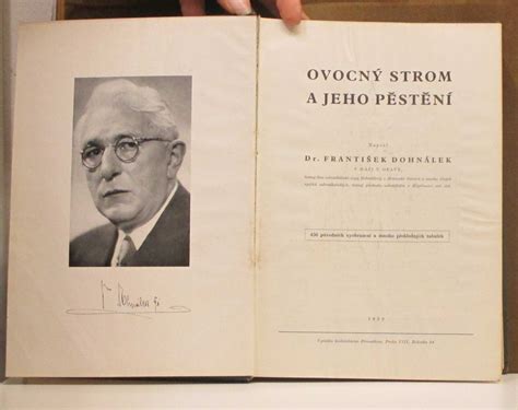 Strom kadidlovníka a jeho živica