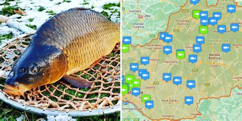 Infografika: Ako spoznať čerstvú rybu